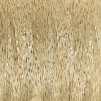 50904
