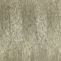 50550